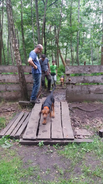 Wychodzimy, maluchy przodem.jpg