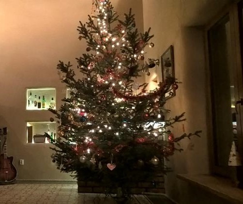 WP_20161217_18_07_07_Pro (Copy).jpg