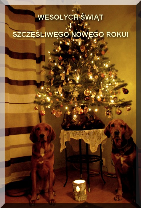 Wesołych Świąt 2016 fo.jpg