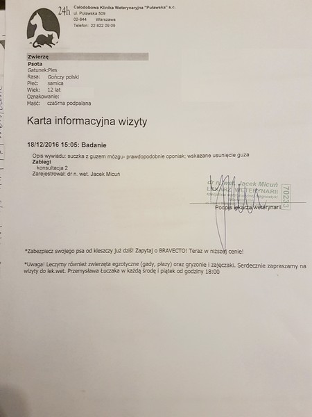 Badania_Psota1.jpg