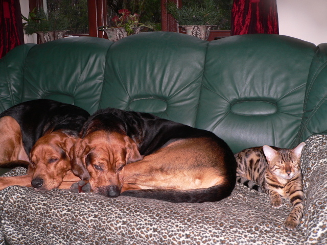 P1160864.JPG