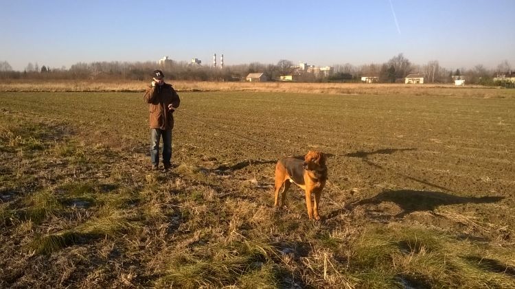WP_20170101_12_35_56_Pro.jpg