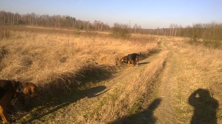 WP_20170101_12_49_51_Pro.jpg