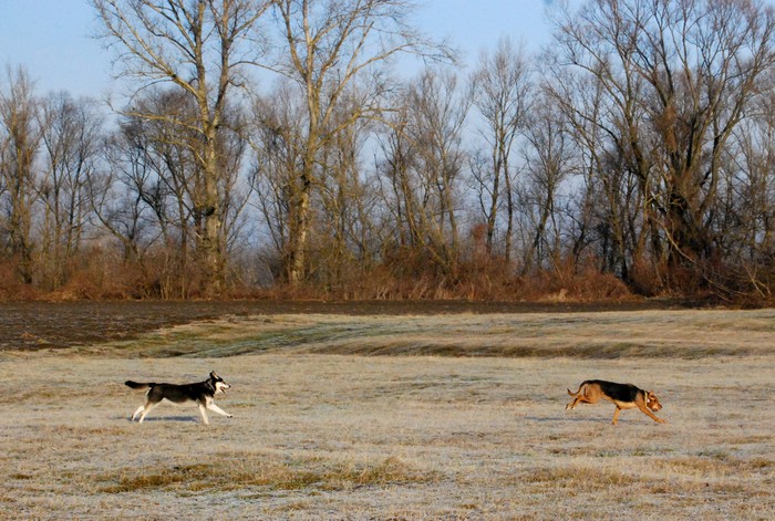 DSC_8180.JPG