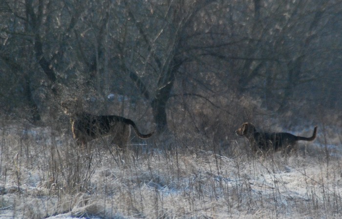 DSC_8184.JPG