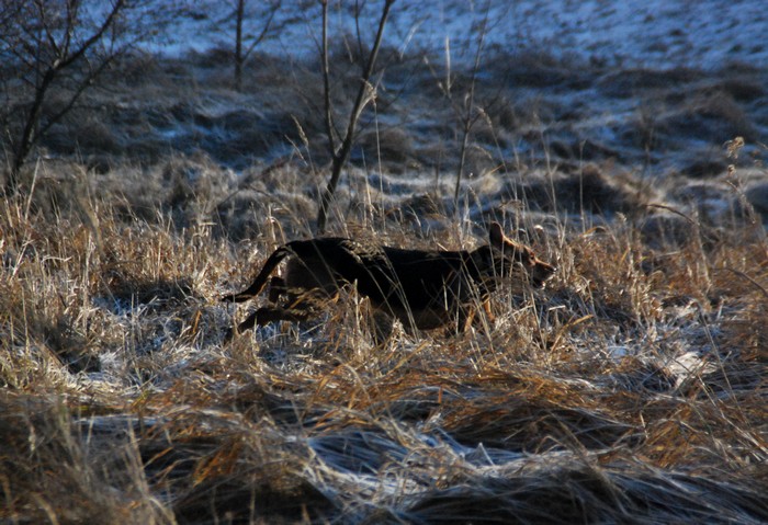 DSC_8207.JPG