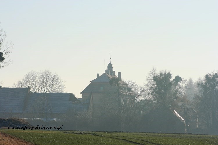 Pałac w Sokolnikach.