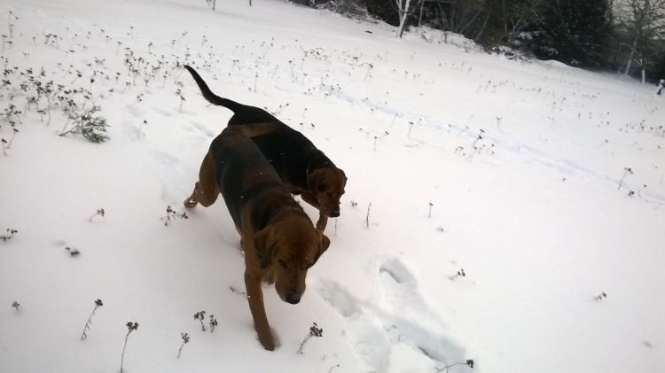 WP_20170106_10_51_20_Pro.jpg