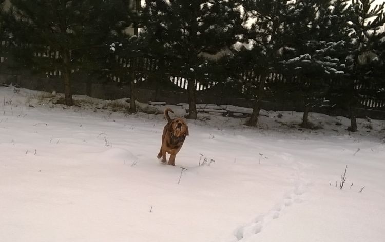 WP_20170106_10_25_18_Pro.jpg