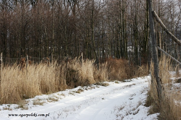 Słonko, słonko wyszło.