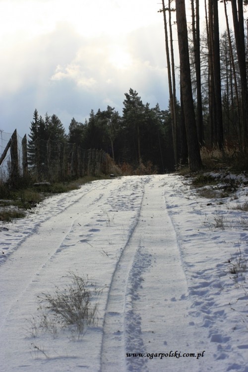Pięknie świeciło.
