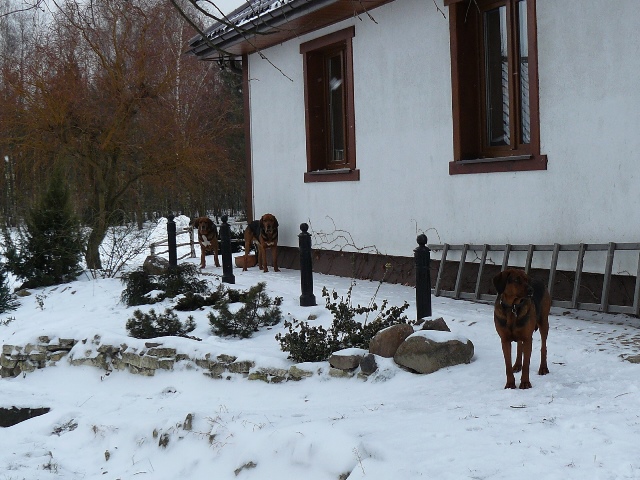 P1450371.JPG