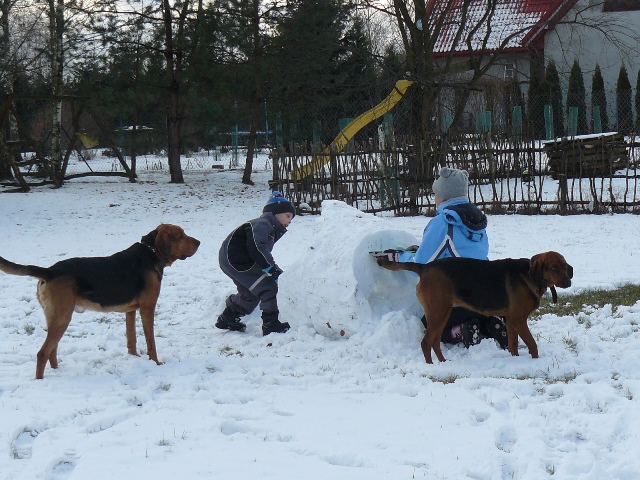 P1450159.JPG