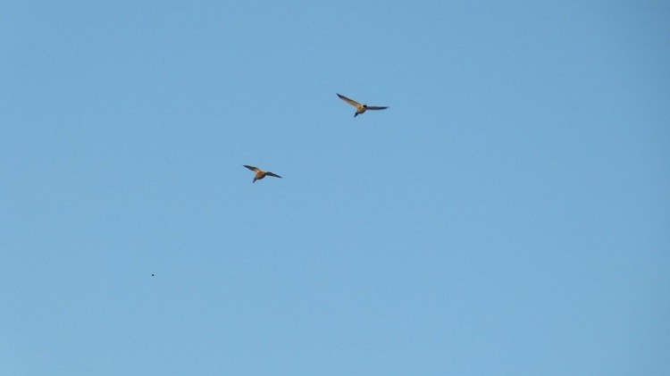 P1050900.JPG