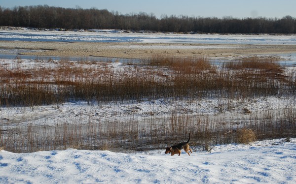 DSC_8432.JPG
