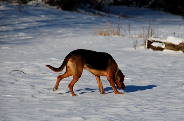 DSC_8435.JPG