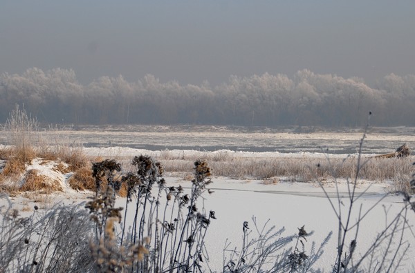 DSC_8487.JPG