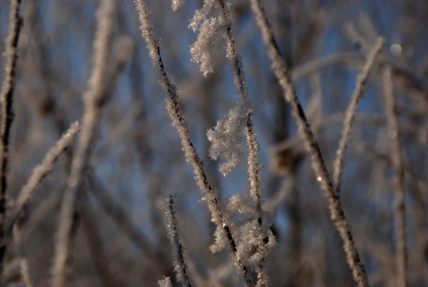 DSC_8494.JPG