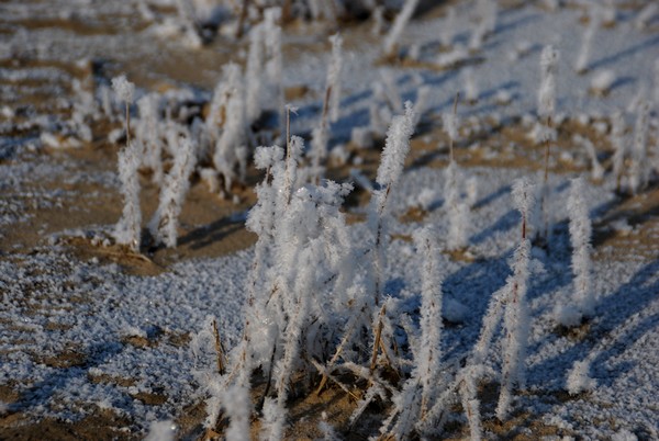 DSC_8550.JPG