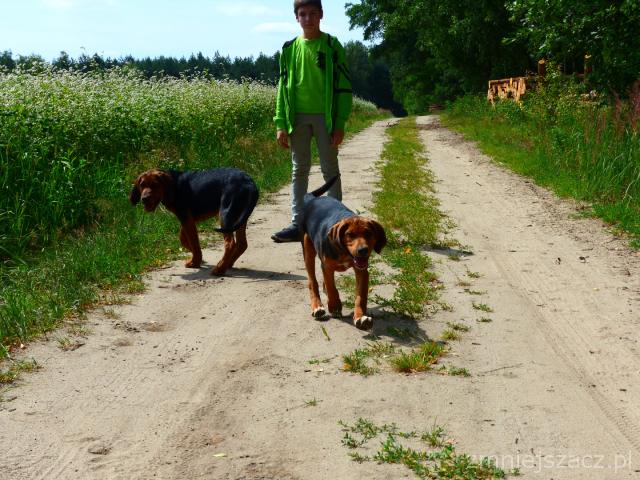 7093348_P1050426.JPG