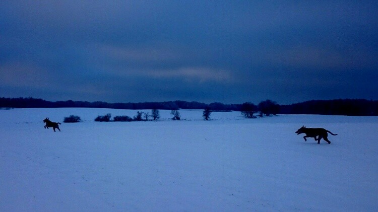DSC_5361_20170114165630098.jpg