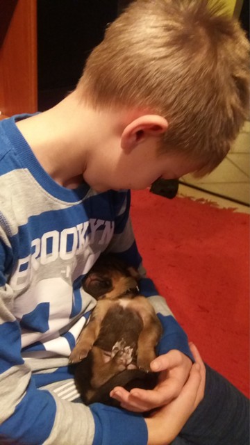 Ogarki T Leśne Bytowanie skończyły 2 tygodnie (9).jpg