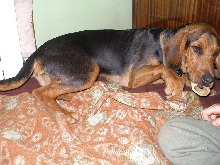 Kobryn