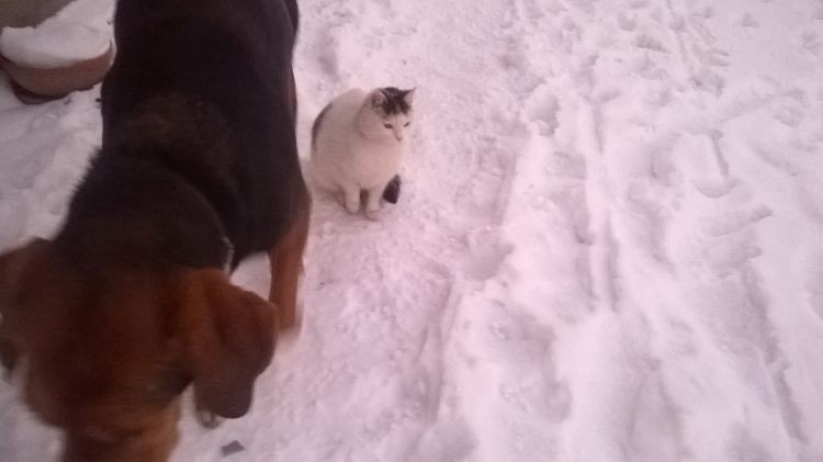 WP_20170108_16_06_29_Pro.jpg