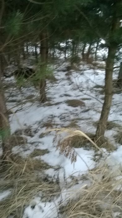 WP_20170117_07_57_20_Pro.jpg