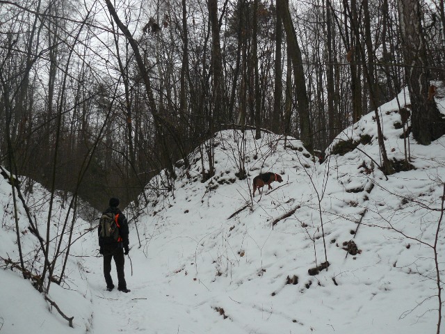 P1460002.JPG