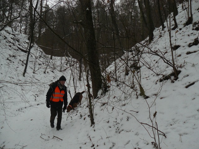 P1460010.JPG