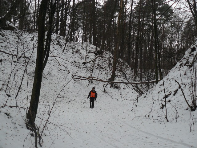 P1460014.JPG