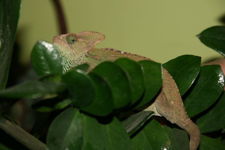 grudzień2009 235.jpg