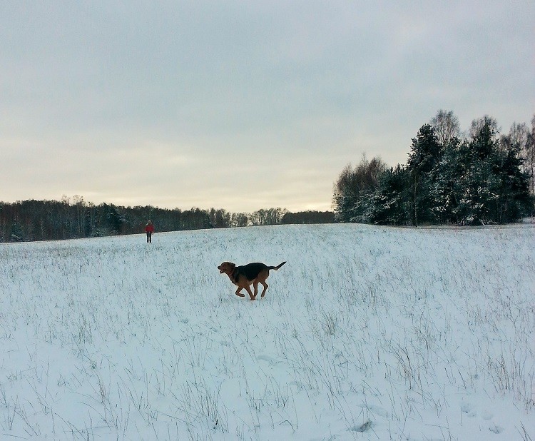 najnowsze