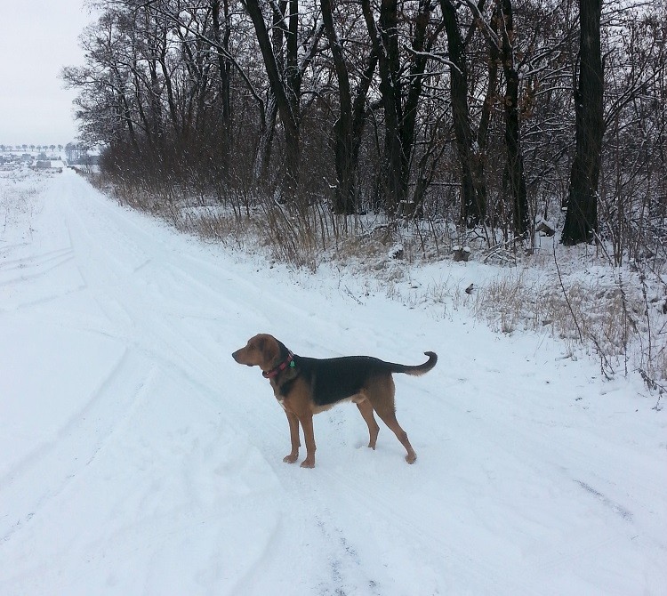 2016-01-16 14.15.48.jpg