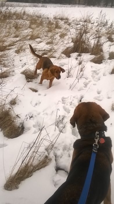 WP_20170125_12_09_26_Pro.jpg