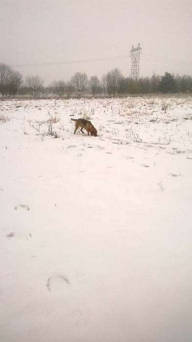 WP_20170125_12_11_09_Pro.jpg