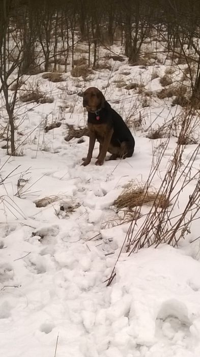 WP_20170124_12_34_18_Pro.jpg