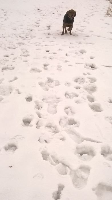 WP_20170124_12_35_49_Pro.jpg