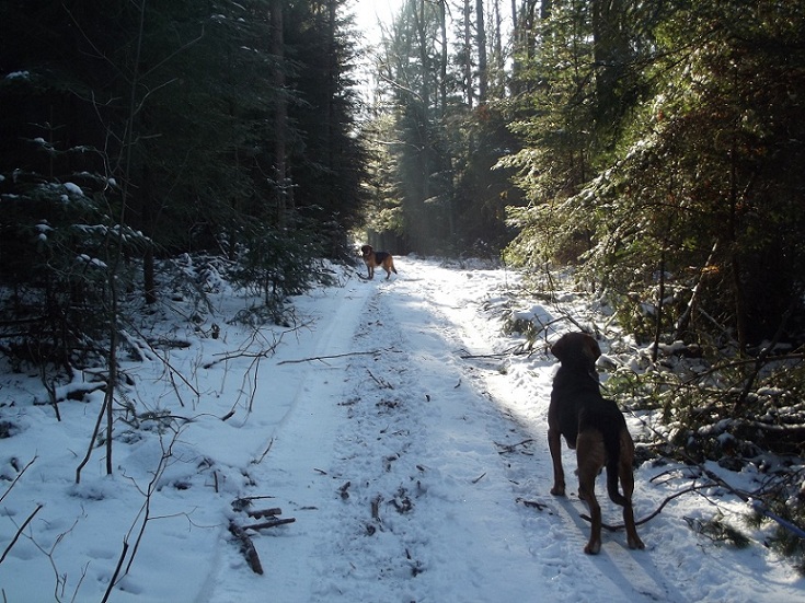 DSCF6777.JPG