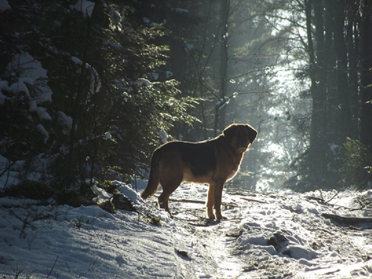 DSCF6782.JPG