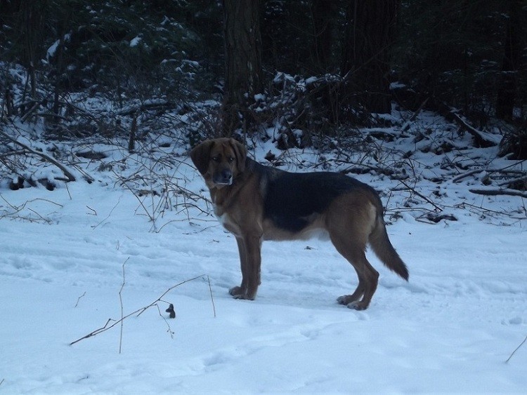 DSCF6775.JPG