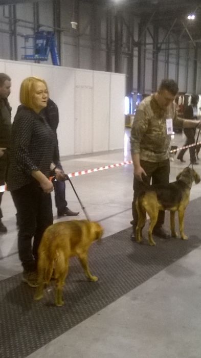 Ronja i Bora