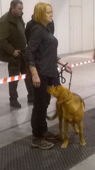 Ronja i Bora