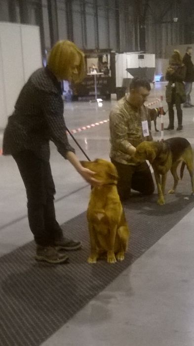 Ronja i Bora