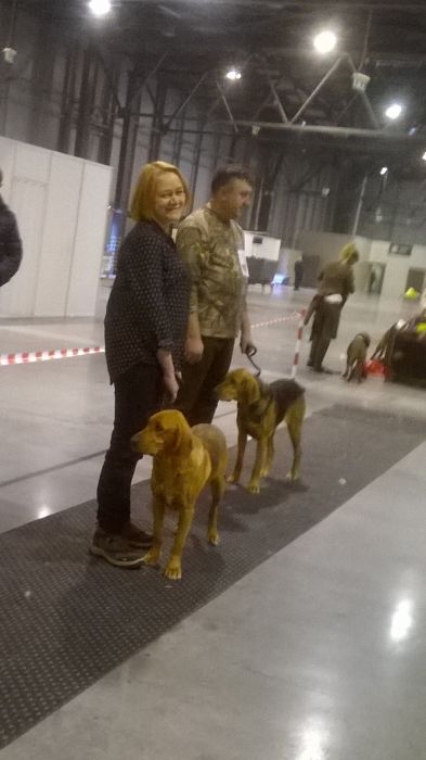 Ronja i Bora