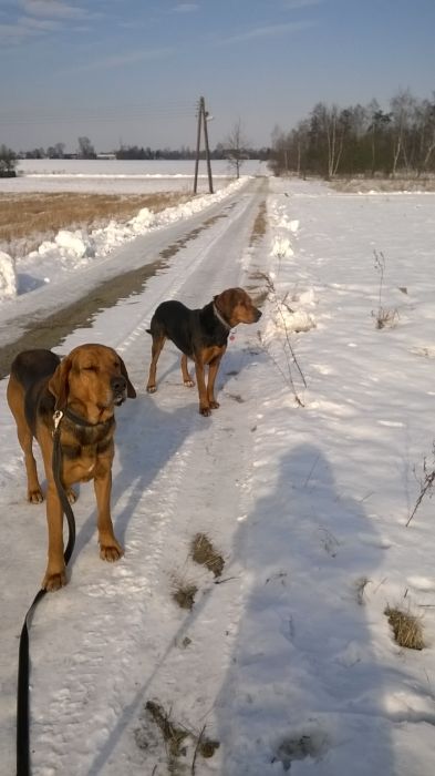 WP_20170211_11_58_15_Pro.jpg