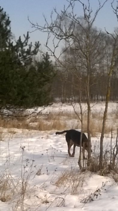 WP_20170211_12_00_28_Pro.jpg