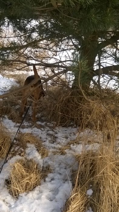 WP_20170211_12_01_25_Pro.jpg