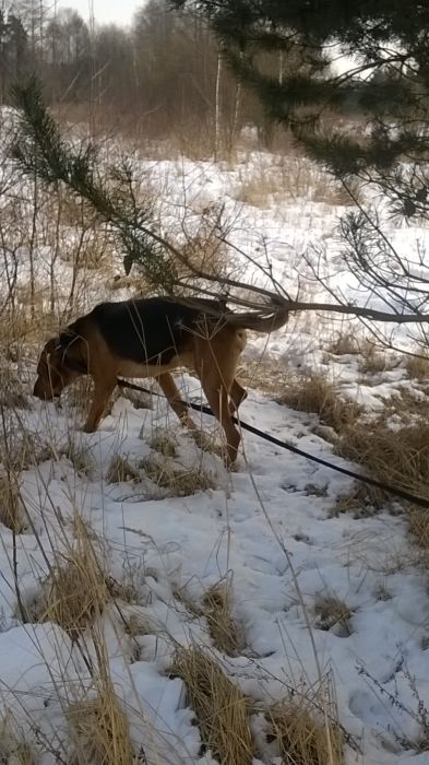WP_20170211_12_01_34_Pro.jpg